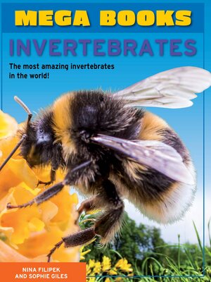 cover image of Invertebrates